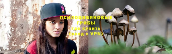 PSILOCYBIN Горняк